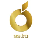 حسابداری دژاوو