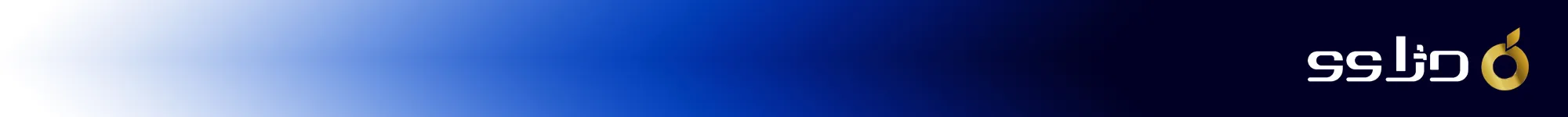 نرم افزار حسابداری دژاوو