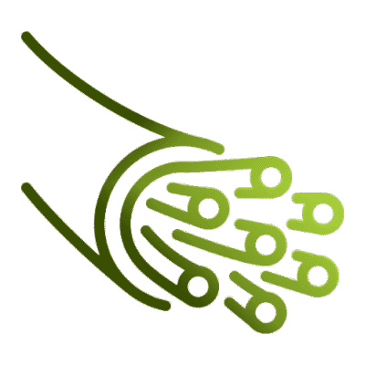 فیبر نوری مبین نت